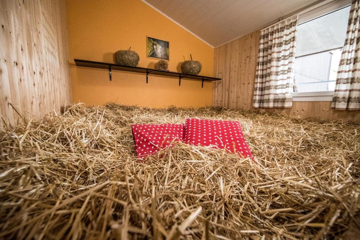 Hof-Tschannen Lengwil Buitenkant foto