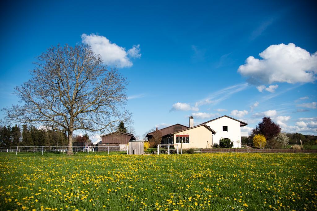 Hof-Tschannen Lengwil Buitenkant foto